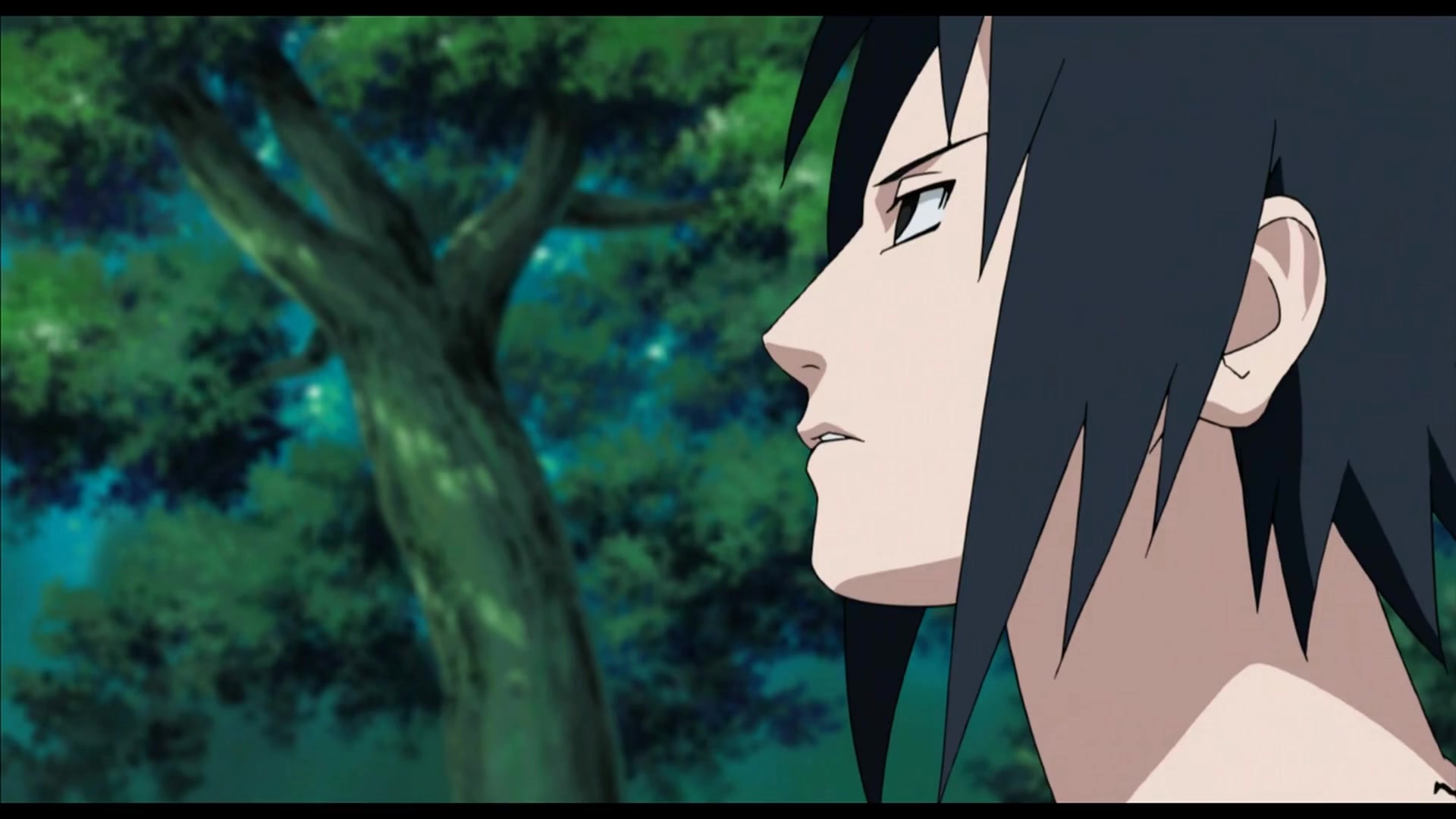 sasuke5_16-10x-RIFE-RIFE4.6-239.76fps.mp4